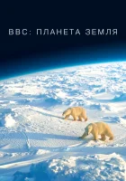 BBC: Планета Земля смотреть онлайн сериал 1-2 сезон